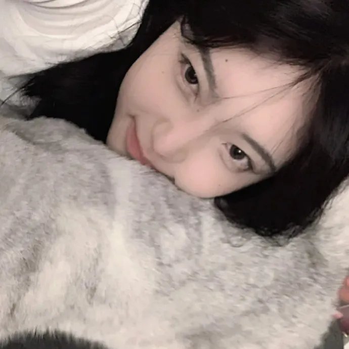 大侦探波洛第六季